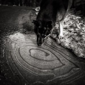 Meet your Posher, Jena